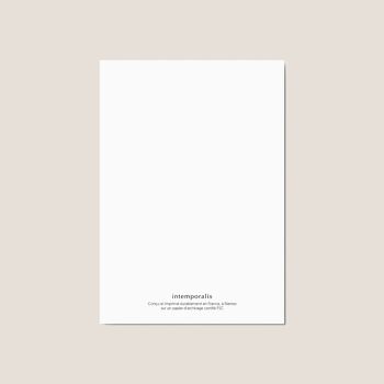 Carte postale "Le vent en poupe" - Illustration / Aventure / Voile / Homme 2