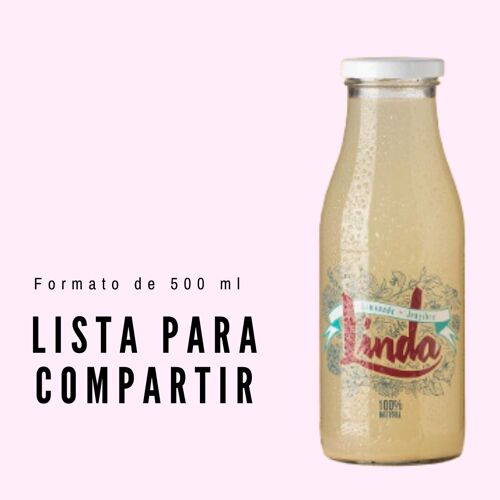 Zumo de Limón con Jengibre 500ml BIO