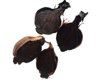 Oignon Noir Bio Pot 20g 2