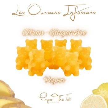 Oursons Infusions Citron – Gingembre: 3 variantes 1