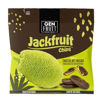 Chips de jacquier au chocolat bio Noix de Coco Véritable 40g