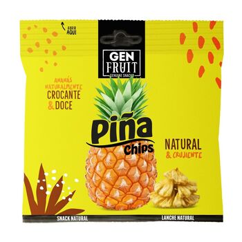 Chips d'Ananas Véritable Noix de Coco 45g
