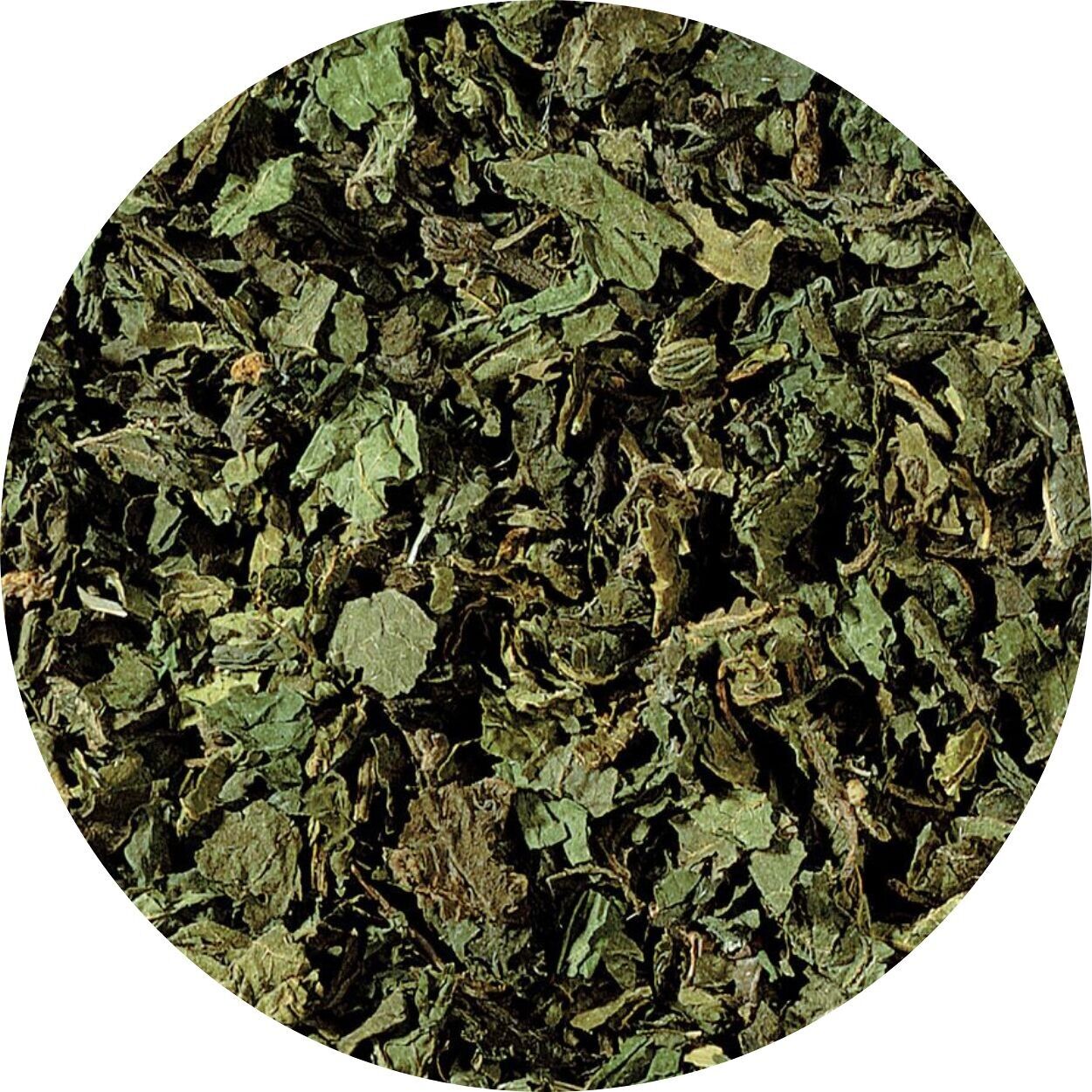 Hojas De Ortiga Cortadas 50g