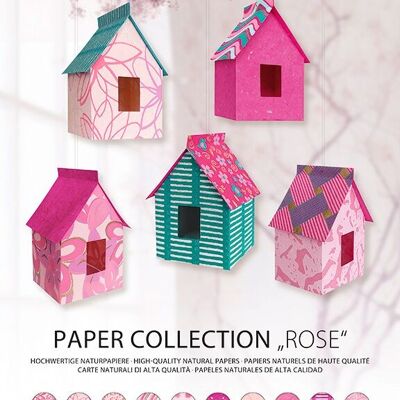 Colección de papel "Rosa"