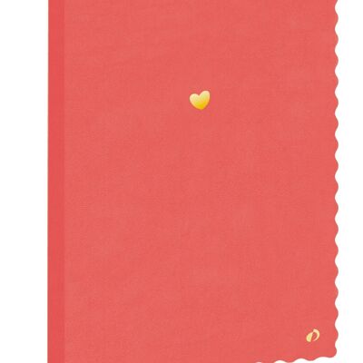 NOTEBOOK 21 a righe Fant smerlato rosa gren