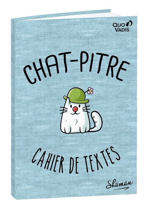 CAHIER DE TEXTES FR Shaman par 4