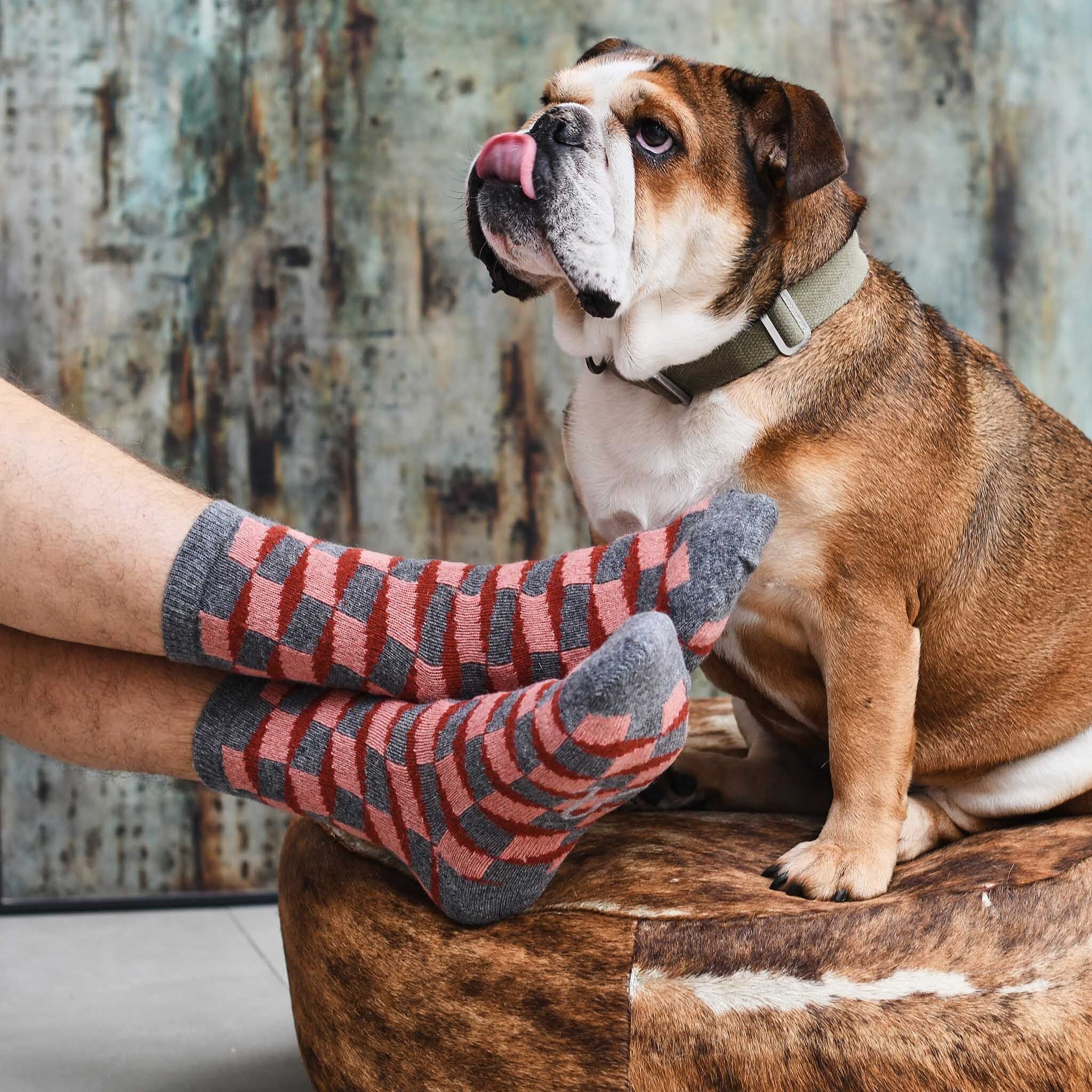 Men's Lambswool Ankle Socks - cube - pink/grey