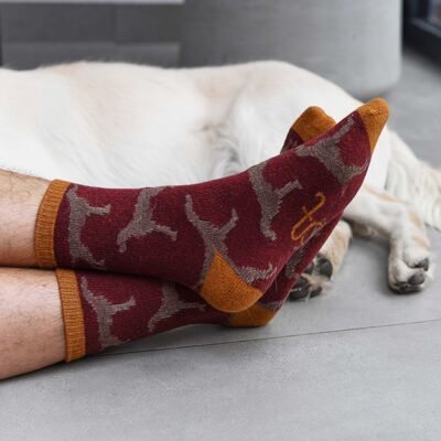 Calcetines tobilleros de lana de cordero para hombre - perro - rojo oscuro