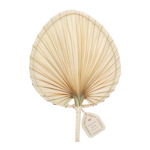 Palm leaf hand fan