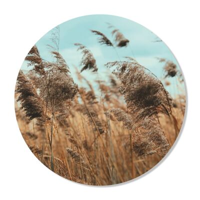 Wall Circle Grass 50 CM v