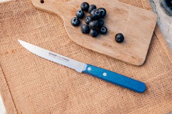 Couteau Steak - 11 cm Lame Double Crantage Pointue - Bleu Paon - Avec Protection | Classic Bois | NOGENT *** 2