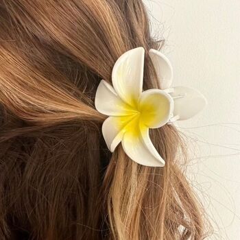 Pinces fleur Hawai 1