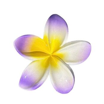 Pinces fleur Hawai 10