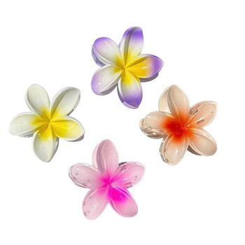 Pinces fleur Hawai 2