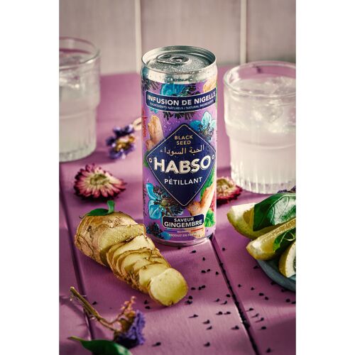 HABSO - Infusion de nigelle pétillante, saveur gingembre - canette 250 ml