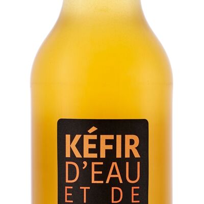 ORGANIC Fruit Kefir - ADF Ginger 33CL