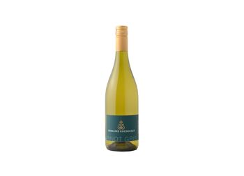 Pinot Gris - Domaine Coudoulet - 2023 1