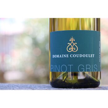 Pinot Gris - Domaine Coudoulet - 2023 2