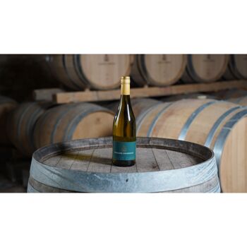 Pinot Gris - Domaine Coudoulet - 2023 3