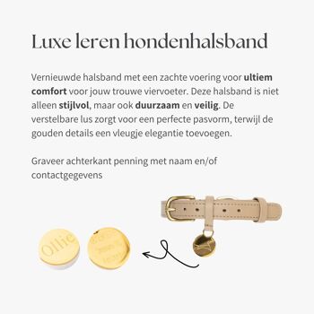 Hondenhalsband luxe lire avec naam penning - Classique - Slangenprint suède 6