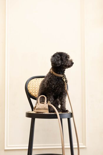 The Dog Musthaves Designer Bag - Beloningstasje voor hondenkoekjes en poepzakdispenser - Zand Taupe 5