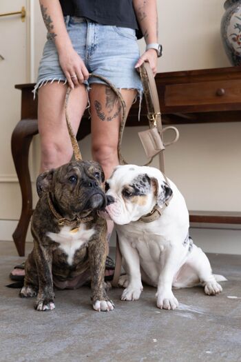 The Dog Musthaves Designer Bag - Beloningstasje voor hondenkoekjes en poepzakdispenser - Zand Taupe 7