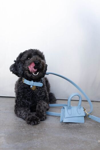 The Dog Musthaves Designer Bag - Beloningstasje voor hondenkoekjes en poepzakdispenser - Licht Blauw 6