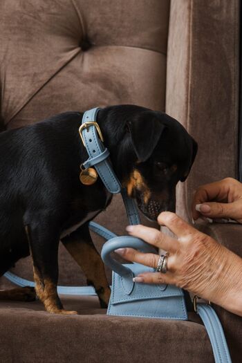 The Dog Musthaves Designer Bag - Beloningstasje voor hondenkoekjes en poepzakdispenser - Licht Blauw 7