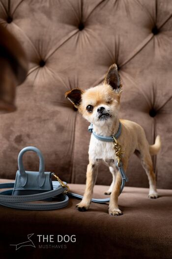The Dog Musthaves Designer Bag - Beloningstasje voor hondenkoekjes en poepzakdispenser - Licht Blauw 8
