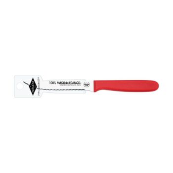 Couteau Steak - 11 cm Lame Double Crantage Pointue - Cerise - Avec Étui Brochable | Classic Polypro | NOGENT *** 1