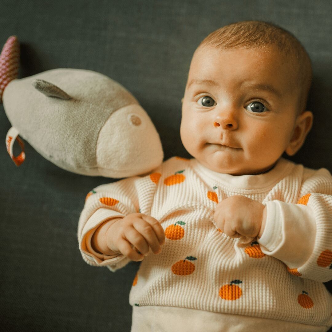 Laurette il pesce di alta qualità