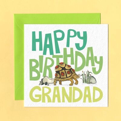 Grandad tortoise