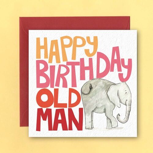 Elephant old man