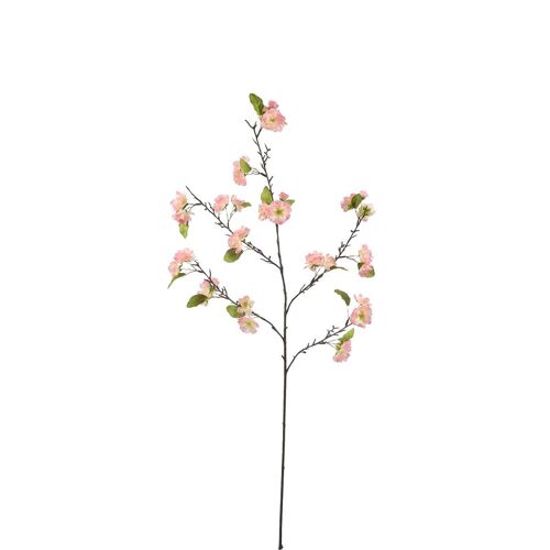 Tige de Fleurs de Cerisier
