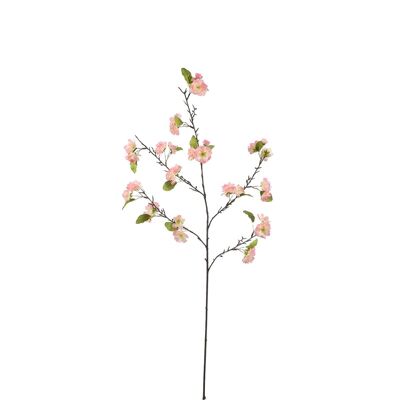 Tallo de flor de cerezo