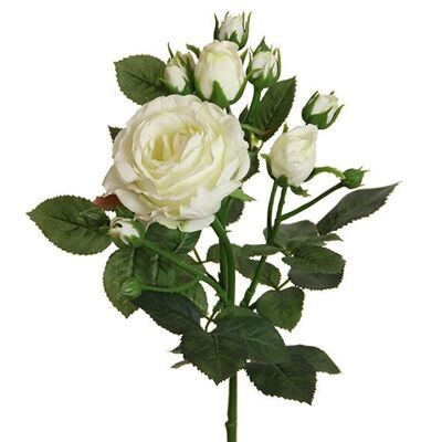 Flores artificiales Flor inglesa, capullos de plástico blanco (H) 62cm