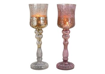 Lanterne calice en verre à champagne, rose double, (L / H / P) 11x38x11cm