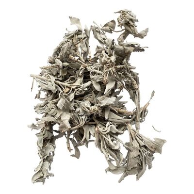 Sauge blanche en vrac 1 lb