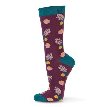 Chaussettes Acorn Coton Bio 43-46 1