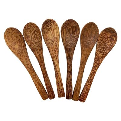 Cucchiaio in legno di cocco, set da 6, 15 cm
