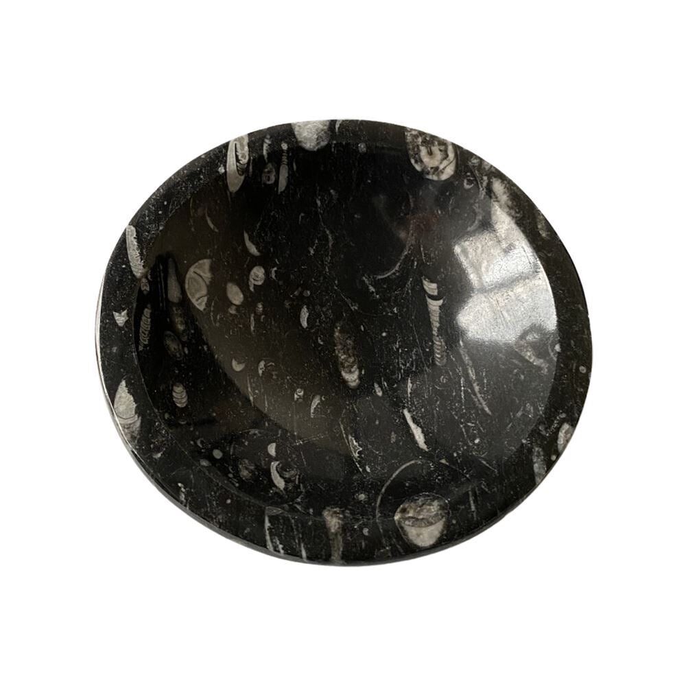 Orthoceras-Schale, 10x2cm