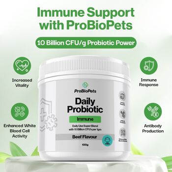 Probiotique immunitaire pour animaux de compagnie 3