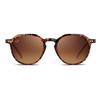 MAILER Tortue Marron - Lunettes de soleil 1