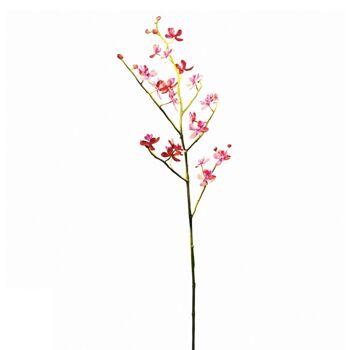 Tige d'Orchidée Tombante 1