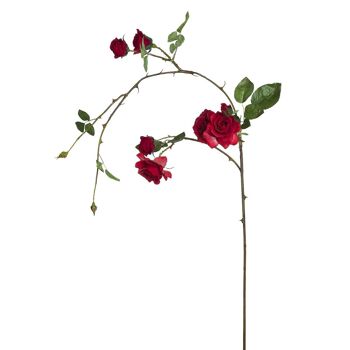 Branche tombante de Roses 1