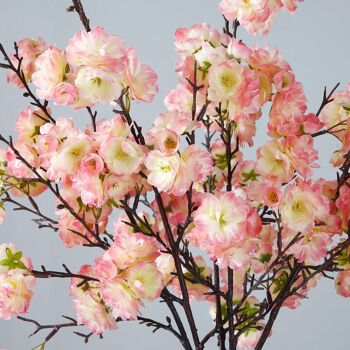 Tige de Fleurs de Cerisier 5