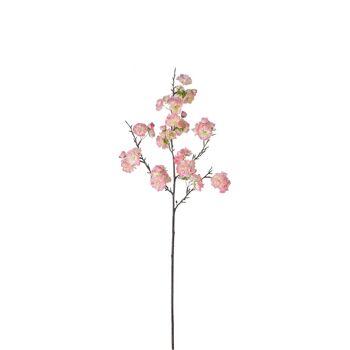 Tige de Fleurs de Cerisier 11