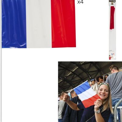 4 Flaggen der französischen Mannschaft 30x20cm
