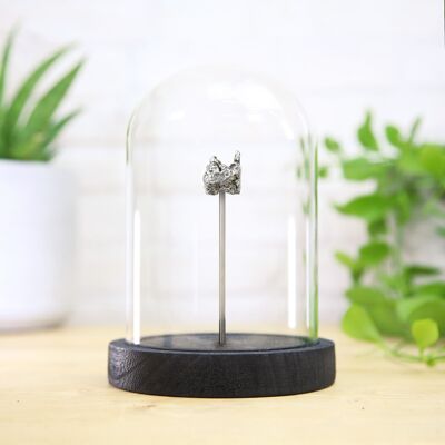 Small Campo Del Cielo Meteorite Bell Jar Museum Quality Interior Design Home Decor Natural Display Real Authentic Space Meteor Gift Ornament