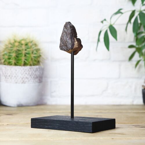 Chondrite Meteorite Bespoke Solid Oak Stand Real Authentic Space Meteor Fragment Natural History Interior Design Home Decor Display Gift Ornaments
